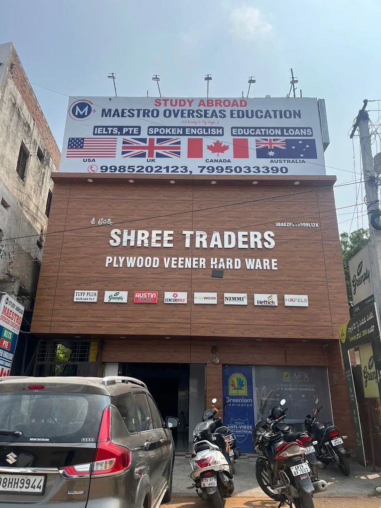 Language learning session at Maestro Abroad.